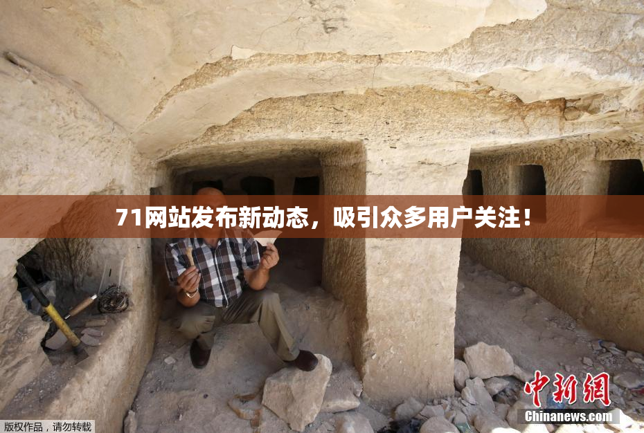 71网站发布新动态，吸引众多用户关注！