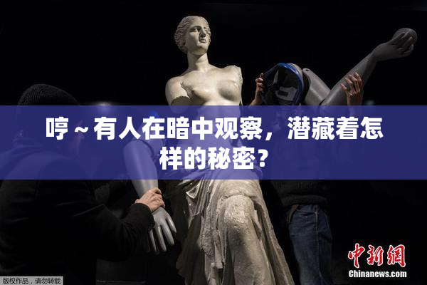 哼～有人在暗中观察，潜藏着怎样的秘密？