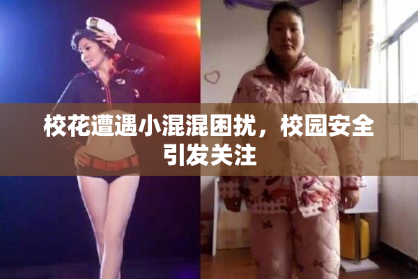 校花遭遇小混混困扰，校园安全引发关注