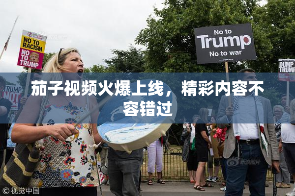 茄子视频火爆上线，精彩内容不容错过