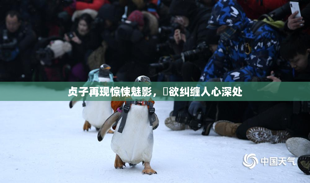 贞子再现惊悚魅影，婬欲纠缠人心深处