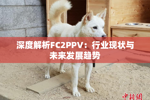 深度解析FC2PPV：行业现状与未来发展趋势