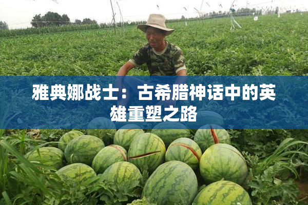 雅典娜战士：古希腊神话中的英雄重塑之路