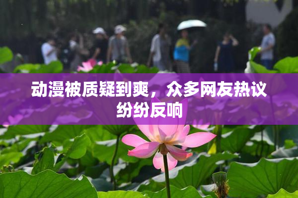 动漫被质疑到爽，众多网友热议纷纷反响