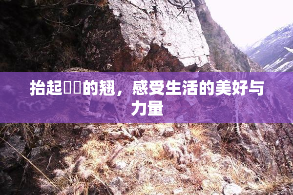 抬起妺妺的翘，感受生活的美好与力量
