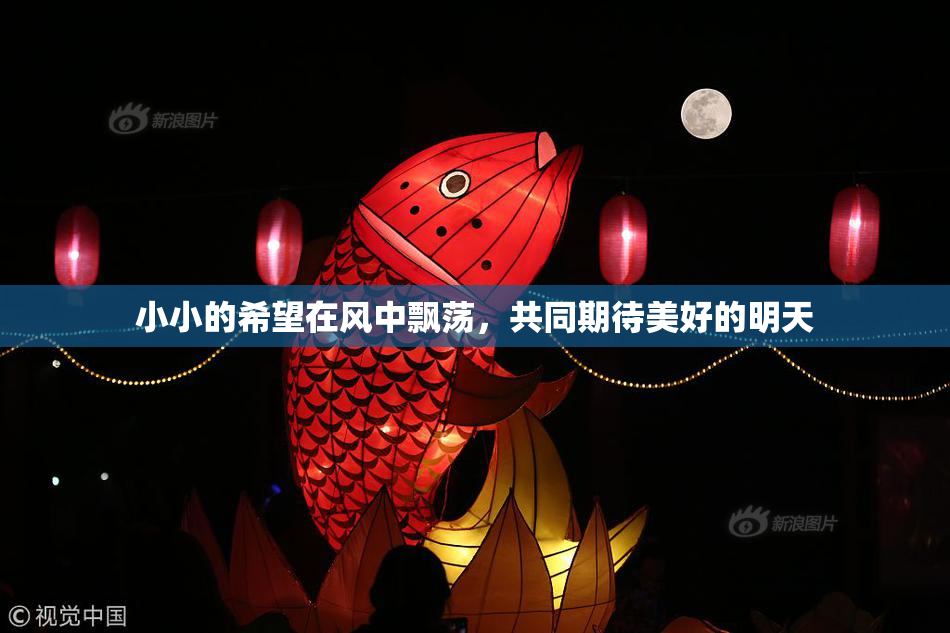 小小的希望在风中飘荡，共同期待美好的明天
