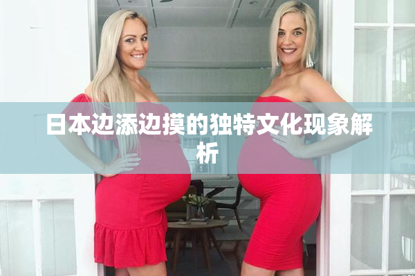 日本边添边摸的独特文化现象解析