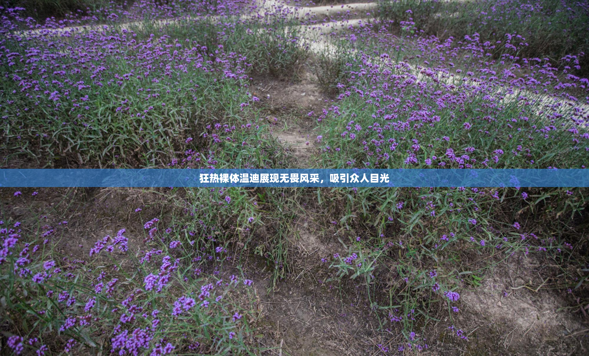狂热裸体温迪展现无畏风采，吸引众人目光