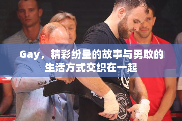 Gay，精彩纷呈的故事与勇敢的生活方式交织在一起