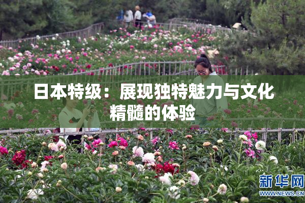 日本特级：展现独特魅力与文化精髓的体验