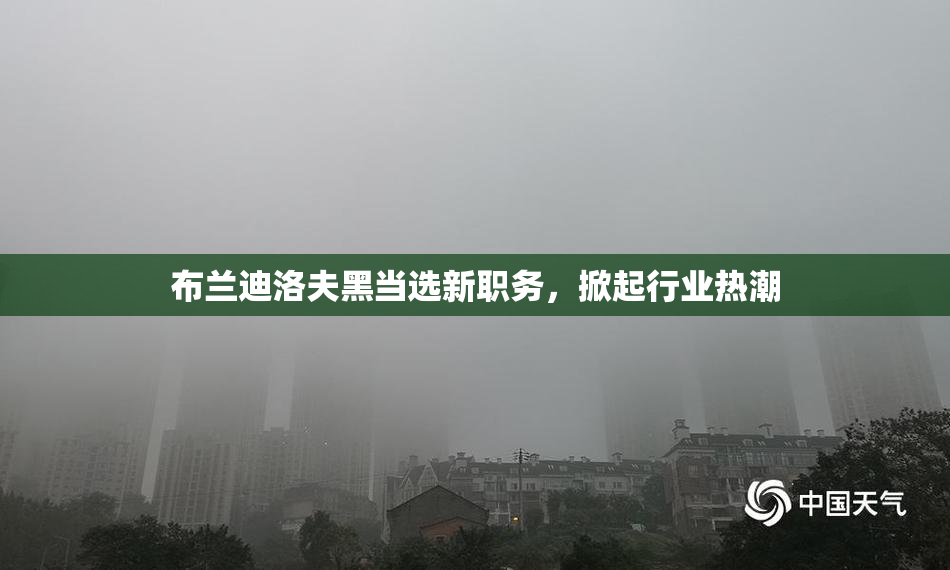 布兰迪洛夫黑当选新职务，掀起行业热潮