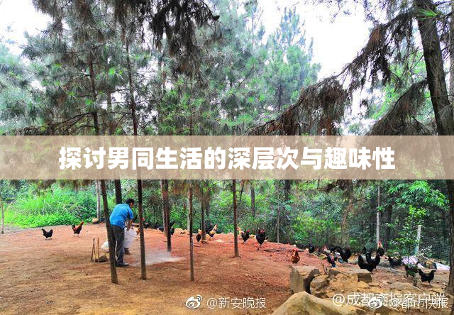探讨男同生活的深层次与趣味性
