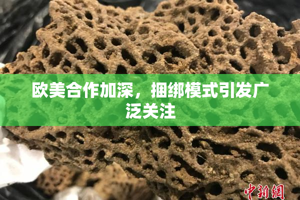 欧美合作加深，捆绑模式引发广泛关注