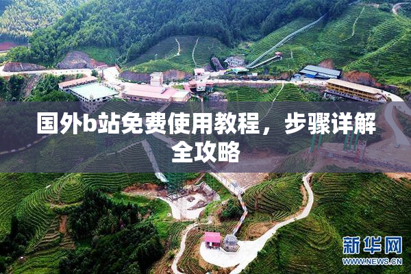国外b站免费使用教程，步骤详解全攻略