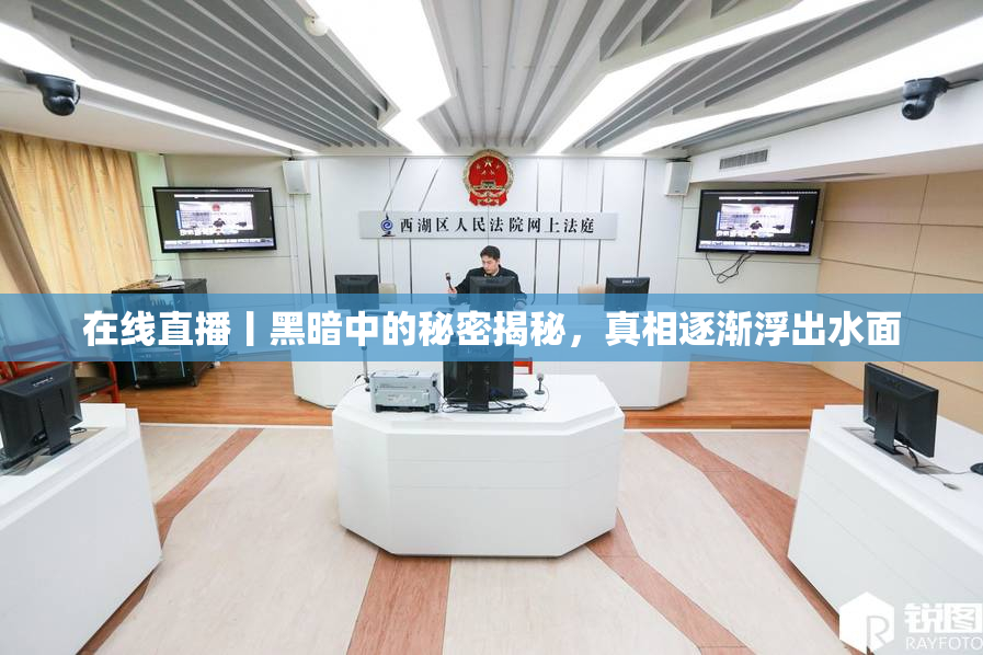 在线直播丨黑暗中的秘密揭秘，真相逐渐浮出水面