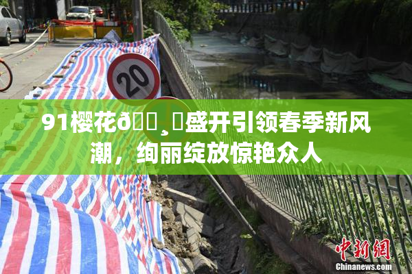 91樱花🌸‌盛开引领春季新风潮，绚丽绽放惊艳众人