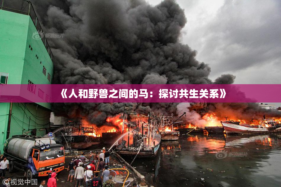 《人和野兽之间的马：探讨共生关系》