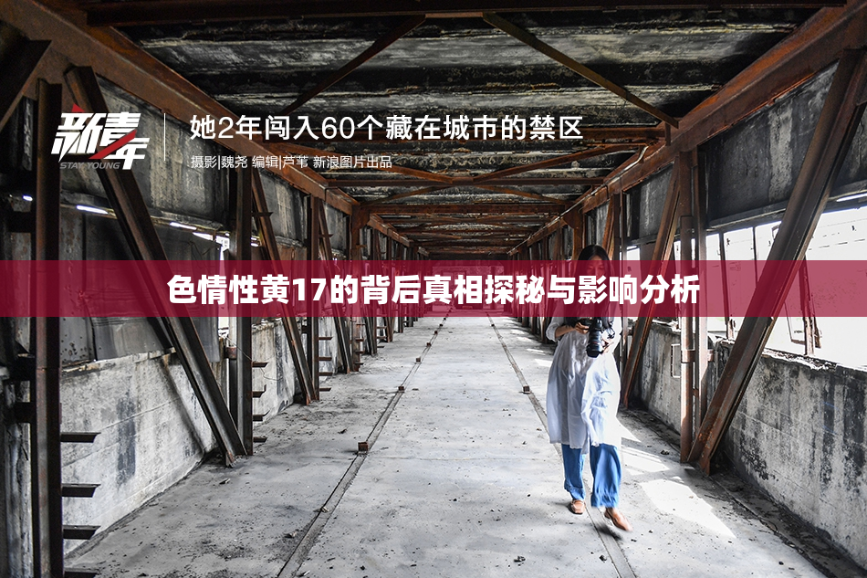 色情性黄17的背后真相探秘与影响分析