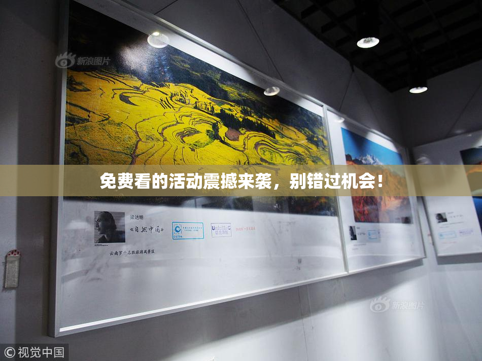 免费看的活动震撼来袭，别错过机会！