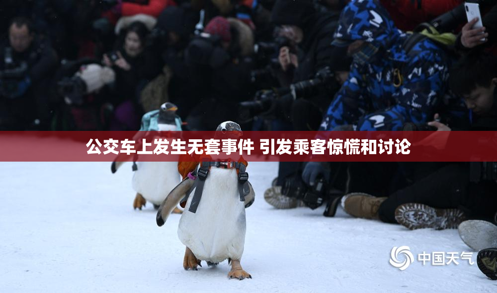 公交车上发生无套事件 引发乘客惊慌和讨论