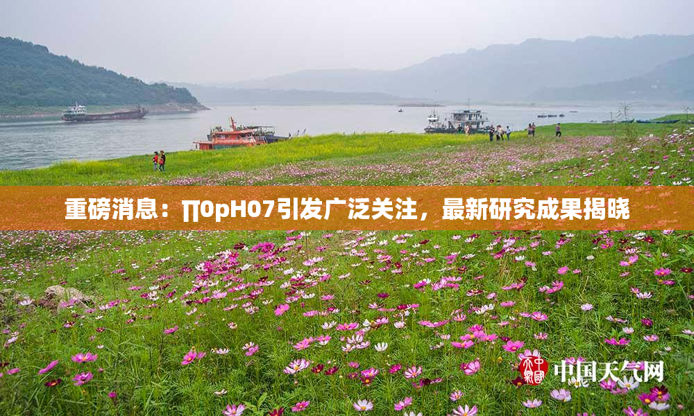 重磅消息：∏0pH07引发广泛关注，最新研究成果揭晓