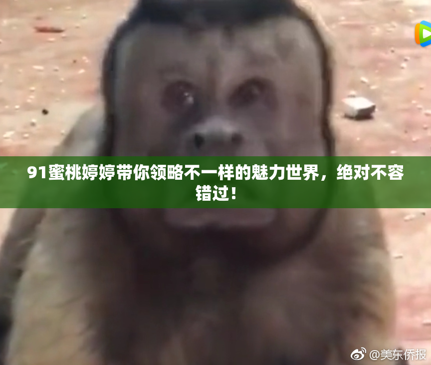 91蜜桃婷婷带你领略不一样的魅力世界，绝对不容错过！