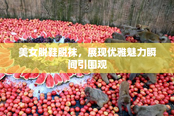 美女脱鞋脱袜，展现优雅魅力瞬间引围观