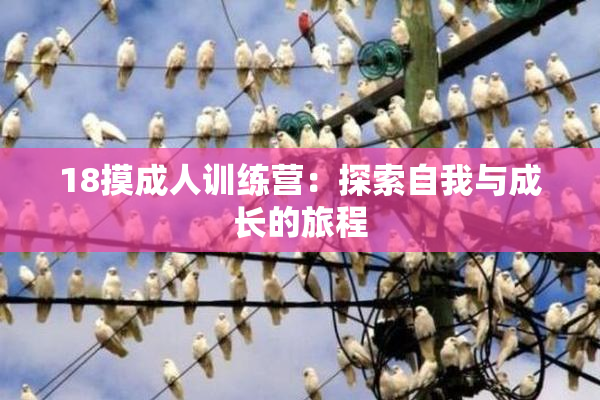 18摸成人训练营：探索自我与成长的旅程