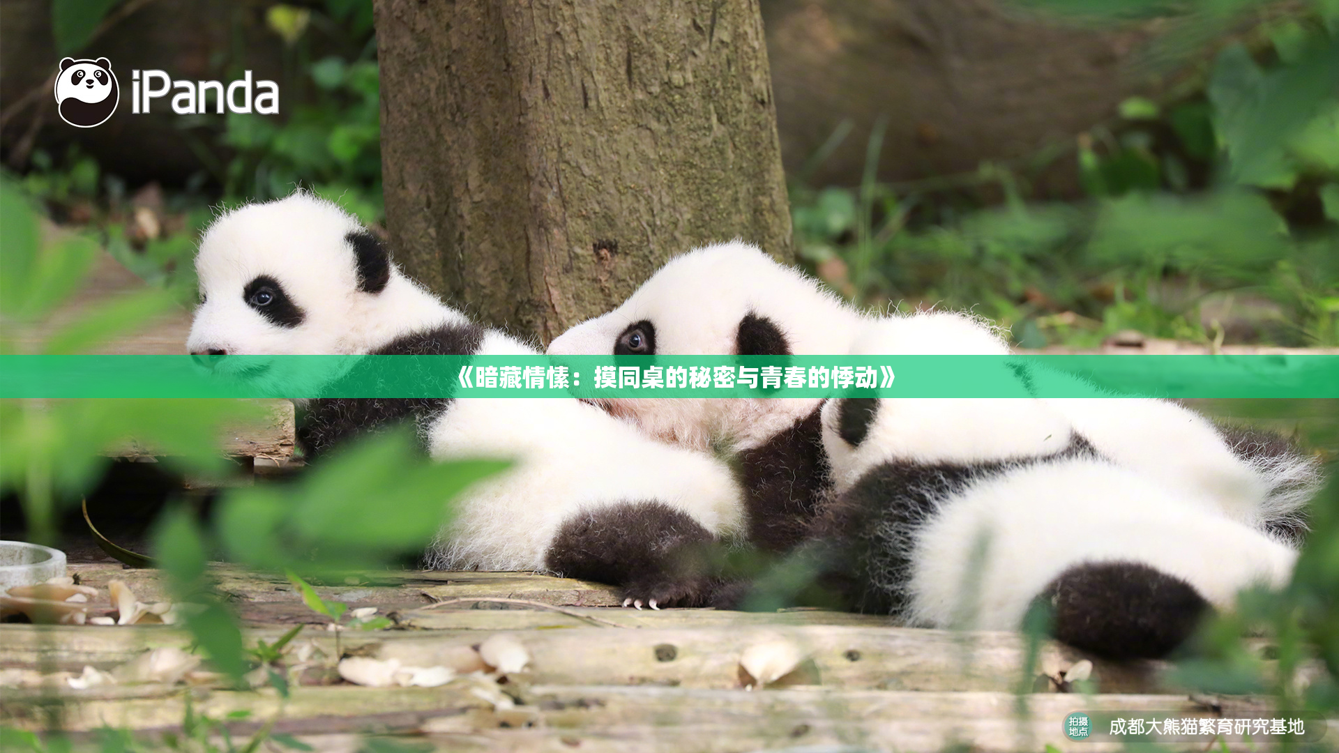 《暗藏情愫：摸同桌的秘密与青春的悸动》