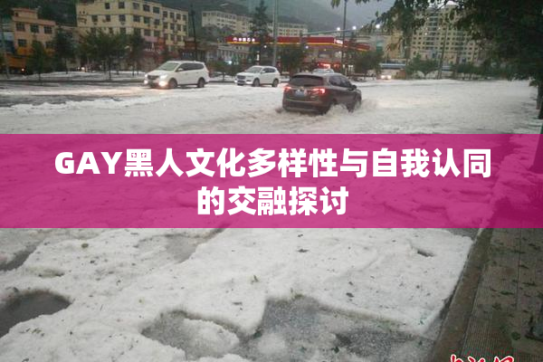 GAY黑人文化多样性与自我认同的交融探讨