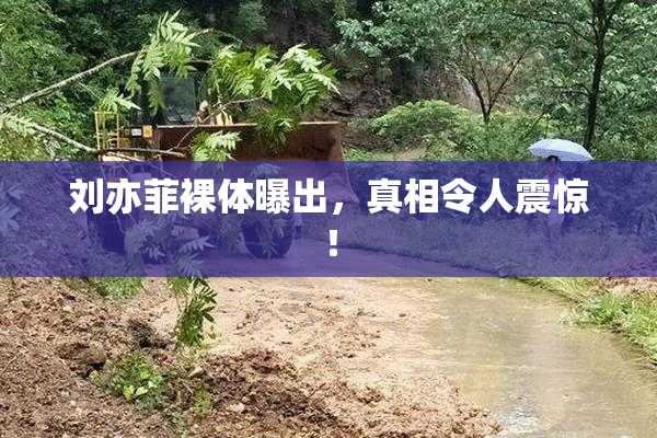 刘亦菲裸体曝出，真相令人震惊！