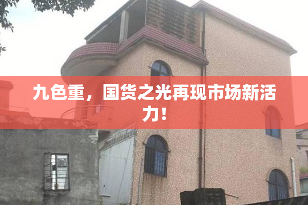 九色重，国货之光再现市场新活力！