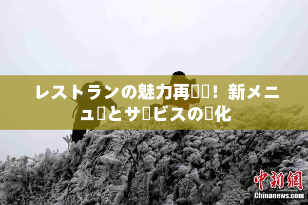レストランの魅力再発見！新メニューとサービスの進化