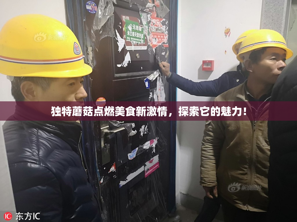 独特蘑菇点燃美食新激情，探索它的魅力！