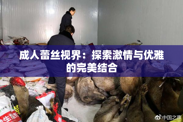 成人蕾丝视界：探索激情与优雅的完美结合