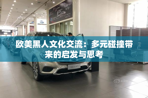 欧美黑人文化交流：多元碰撞带来的启发与思考