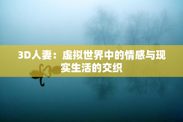 3D人妻：虚拟世界中的情感与现实生活的交织