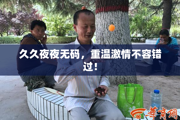 久久夜夜无码，重温激情不容错过！