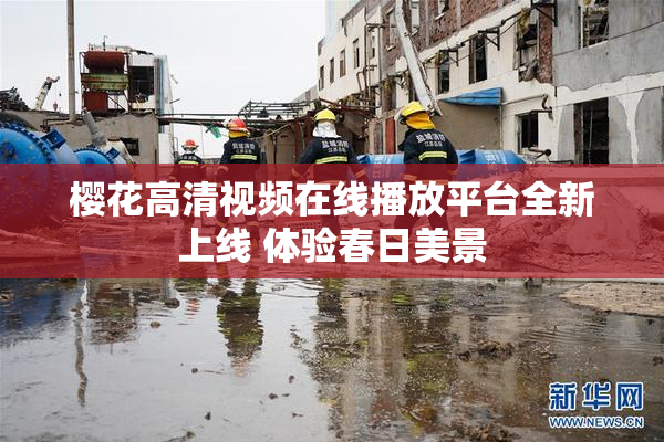 樱花高清视频在线播放平台全新上线 体验春日美景