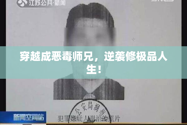 穿越成恶毒师兄，逆袭修极品人生！