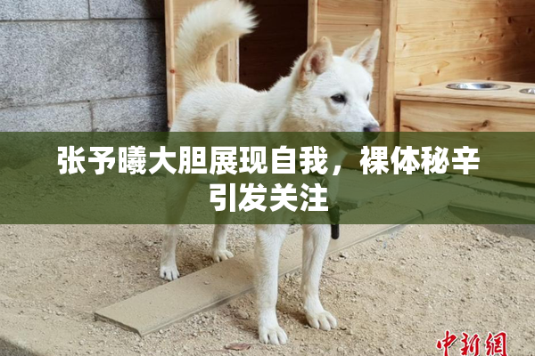 张予曦大胆展现自我，裸体秘辛引发关注