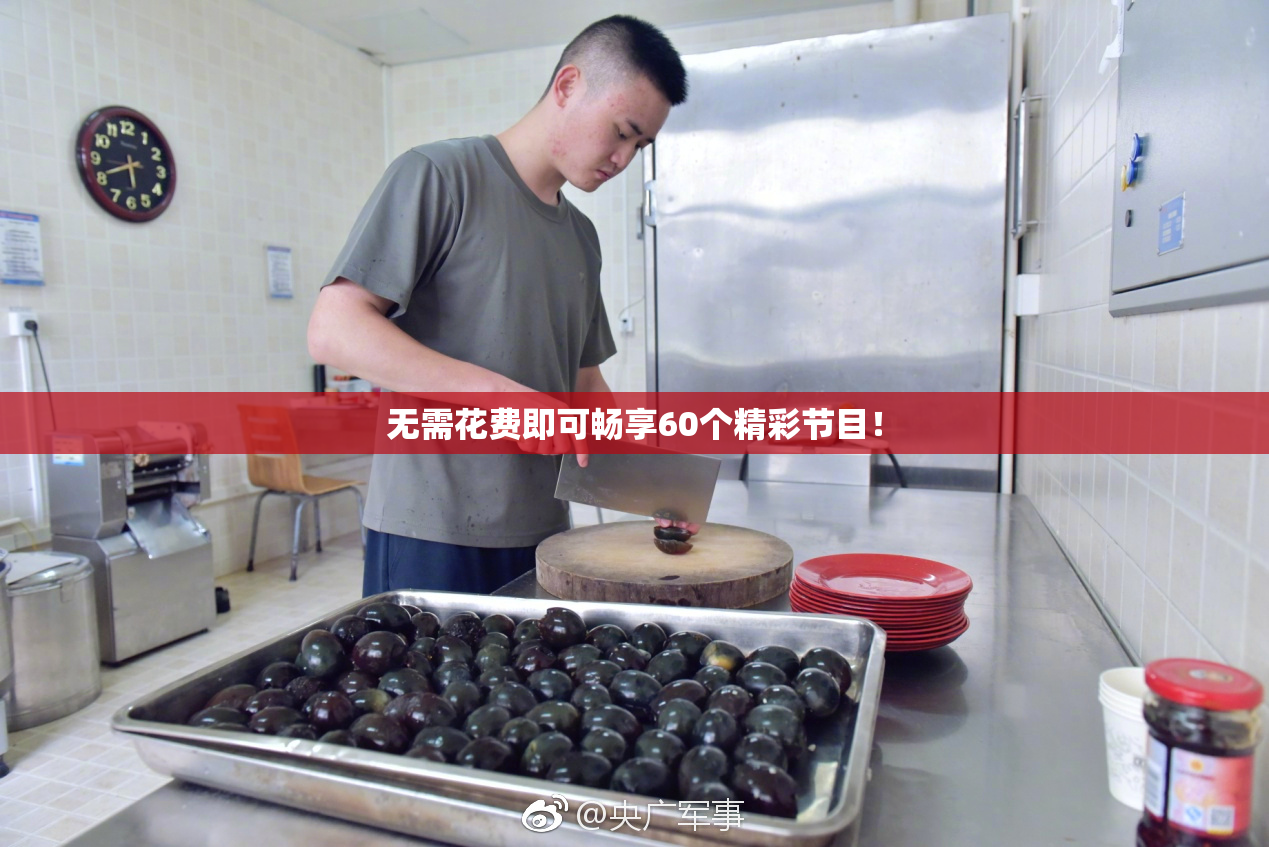 无需花费即可畅享60个精彩节目！