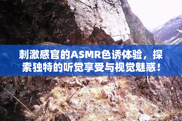 刺激感官的ASMR色诱体验，探索独特的听觉享受与视觉魅惑！