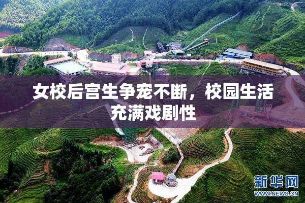 女校后宫生争宠不断，校园生活充满戏剧性