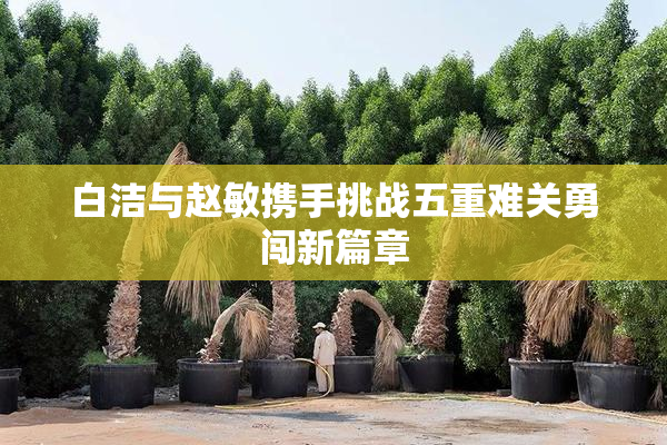 白洁与赵敏携手挑战五重难关勇闯新篇章