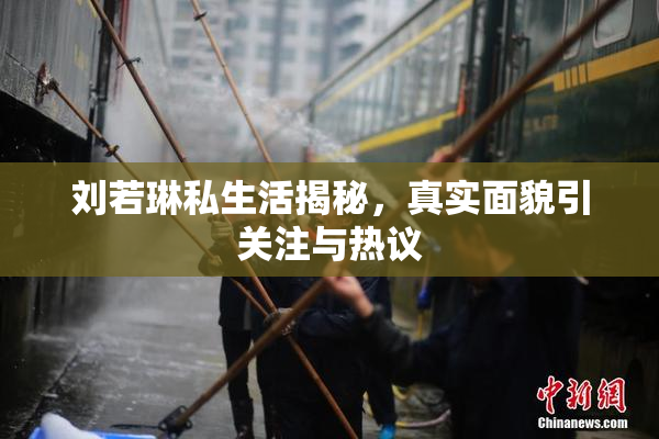 刘若琳私生活揭秘，真实面貌引关注与热议