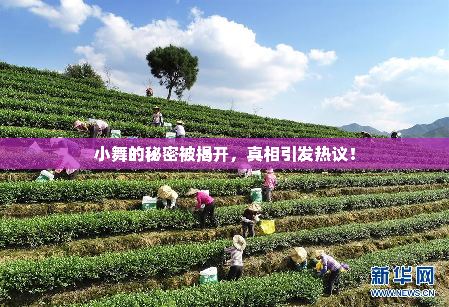 小舞的秘密被揭开，真相引发热议！