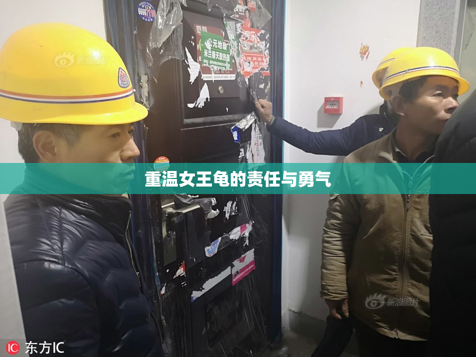 重温女王龟的责任与勇气