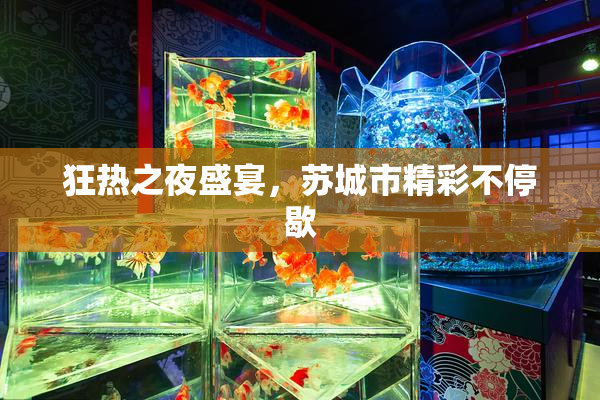 狂热之夜盛宴，苏城市精彩不停歇