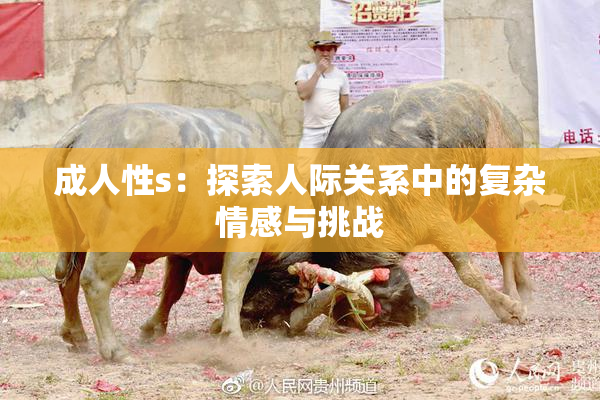 成人性s：探索人际关系中的复杂情感与挑战